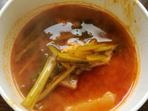 蕪の即席キムチのスープ